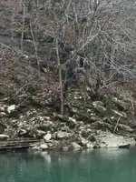 ImageUploadedByTreasureNet.com1472002402.418259.webp ImageUploadedByTreasureNet.com1472002402.418259.webp