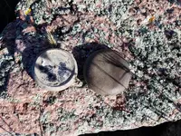 watches.webp