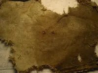P8055588 (2).webp