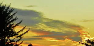 DSCN0745.webp