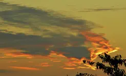 DSCN0749.webp