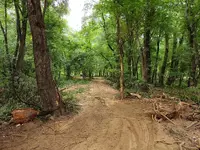 K1600_DSCN4208.webp