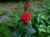 K1600_DSCN4212.webp