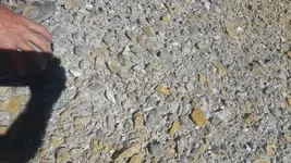 20160918_144324 (500x281).webp