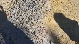 20160918_151008 (500x281).webp