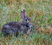 K1600_DSCN4238.webp