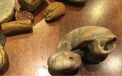 ImageUploadedByTreasureNet.com1474937060.247200.webp
