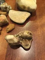 ImageUploadedByTreasureNet.com1474937076.975287.webp