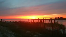 20160902_194905.webp 20160902_194905.webp