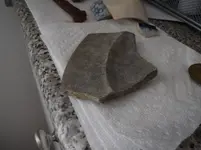 DSCF0324.webp