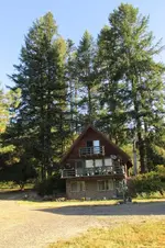 tree1.webp