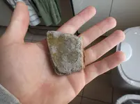DSCF0326.webp