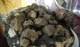 0919160849_HDR.webp