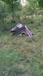 IMG_20160903_075530591.webp