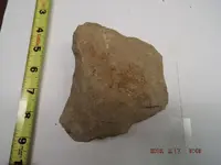ImageUploadedByTreasureNet.com1474303110.152758.webp