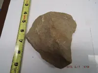 ImageUploadedByTreasureNet.com1474303129.327922.webp