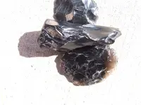 DSCF1319.webp