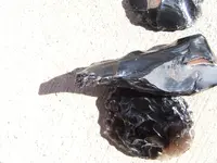 DSCF1320.webp
