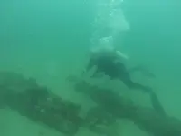 1618 San Martin cannons A.webp