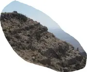 Rock.webp