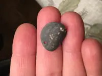 1880ish Real with Chopmark2.webp