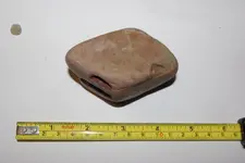 IMGP2965.webp