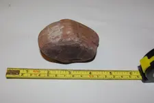 IMGP2967.webp