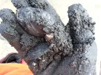 mud ring resized.webp
