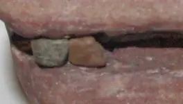 IMGP2969.webp