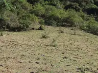 IMG-20160824-WA0023.webp