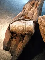 DSCF4198.webp