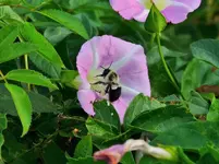 DSCN5369.webp