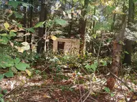 DSCF0013.webp