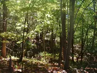 DSCF0014.webp
