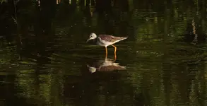 DSCN5418.webp