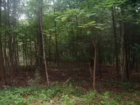 DSCF0004.webp
