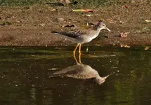 DSCN5421.webp
