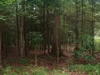 DSCF0005.webp