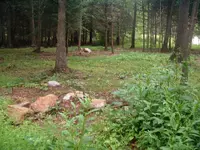 DSCF0006.webp