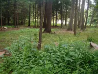 DSCF0007.webp