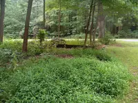DSCF0008.webp