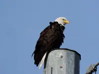 DSCN5427.webp