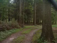 DSCF0012.webp