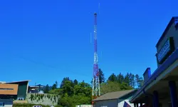 DSCN0624.webp