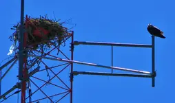 DSCN0626.webp