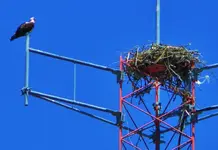 DSCN0621.webp