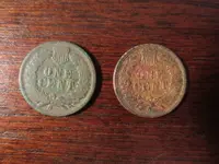 Finds073016B.webp