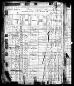 1880 Census - Roberts.webp
