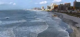 Untitled.webp