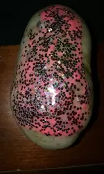 20160911_123513.webp
